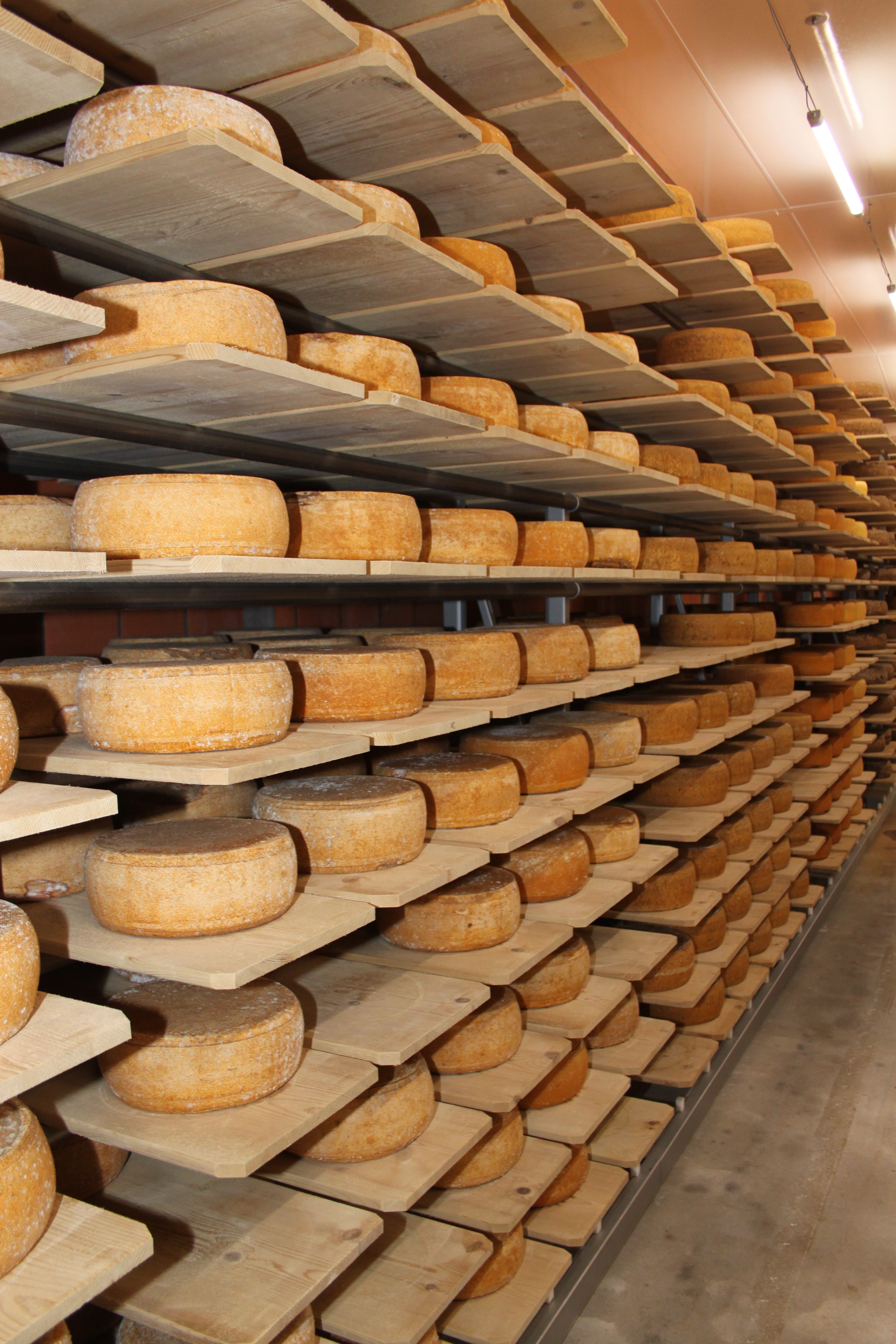 cheese-shelf